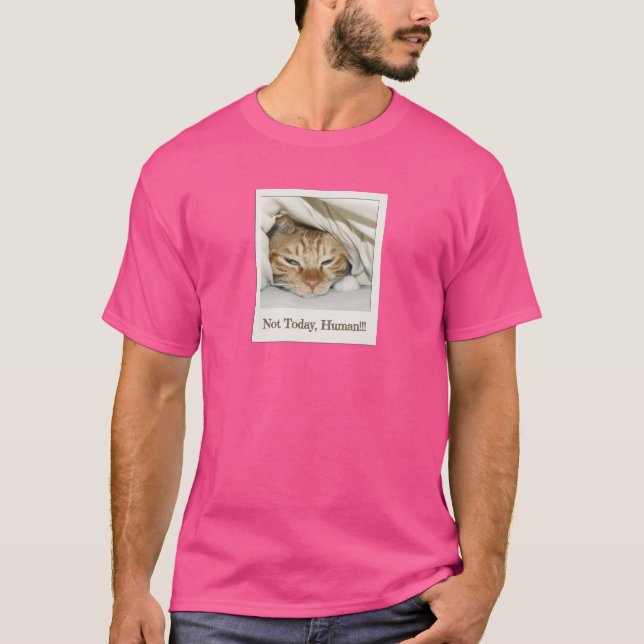Camiseta Hoje Não, Humano - Memórias de Gatos (Frente)