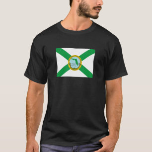 Camiseta Hollywood Florida Flag