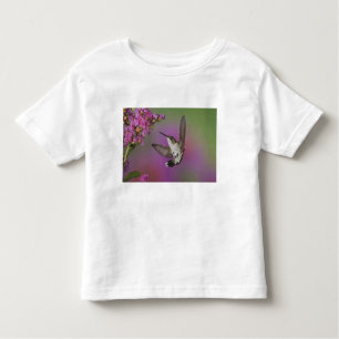 Camiseta Homem-Juvenil Ruby Throed Hummingbird
