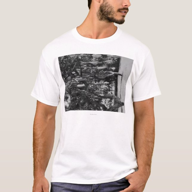 Camiseta Honolulu, HI - Universidade do Havai (Frente)