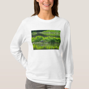 Camiseta Hora das Refeições de Lagostas