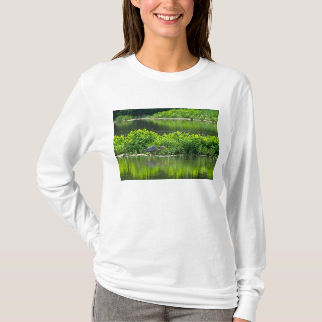 Camiseta Hora das Refeições de Lagostas (Frente)