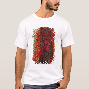 Camiseta Hortênsia-virginiana vermelha brilhante no outono