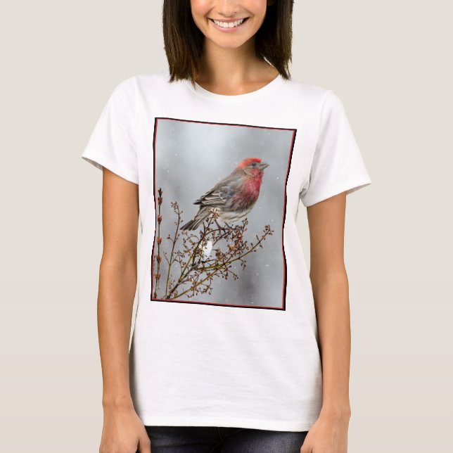 Camiseta House Finch in Snow - Foto original (Frente)