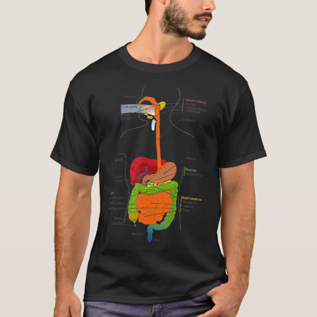 Camiseta Human Body Digestive System Gastrointestinal Tract (Frente)