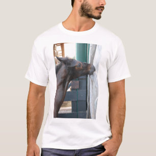 Camiseta Humor com picada de cavalo/pônei