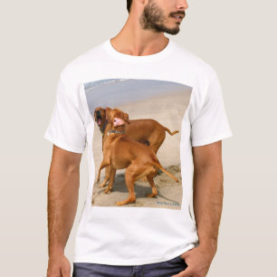 Camiseta Iaques de Yakety!