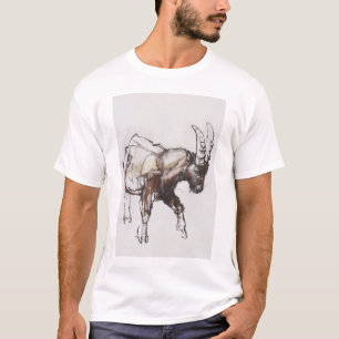 Camiseta Íbex novo Gran Paradiso 2005