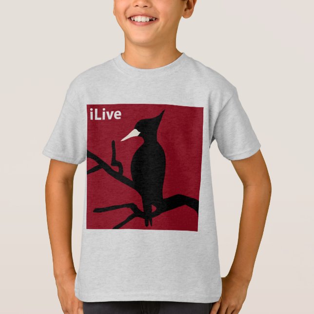 Camiseta IBWO: iLive (Frente)
