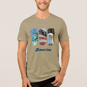 Camiseta Ícones Americanos Bandeira Águia Estátua