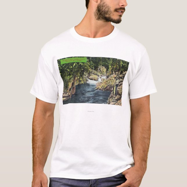 Camiseta Ideia da garganta de Capilano da piscina Salmon (Frente)