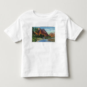 Camiseta Ideia da montagem majestosa e da aterragem do anjo