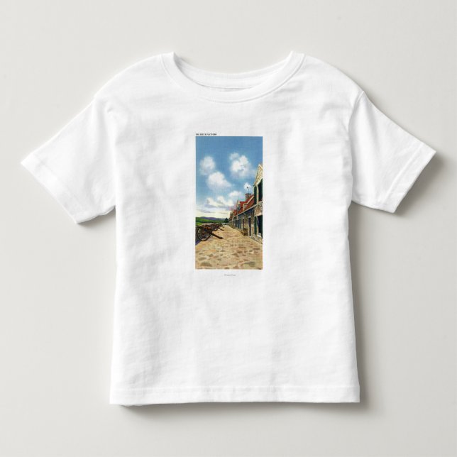 Camiseta Ideia da plataforma sul (Frente)
