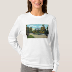 Camiseta Ideia de Hwy do estado da aproximação para a