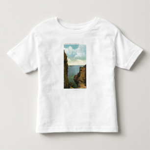 Camiseta Ideia do Cleft na angra de Perkins