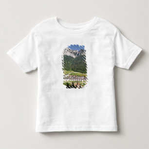 Camiseta Ideia do complexo do monastério