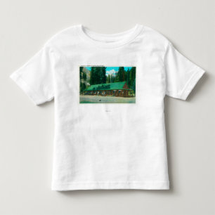 Camiseta Ideia exterior do recurso de Dardanelle