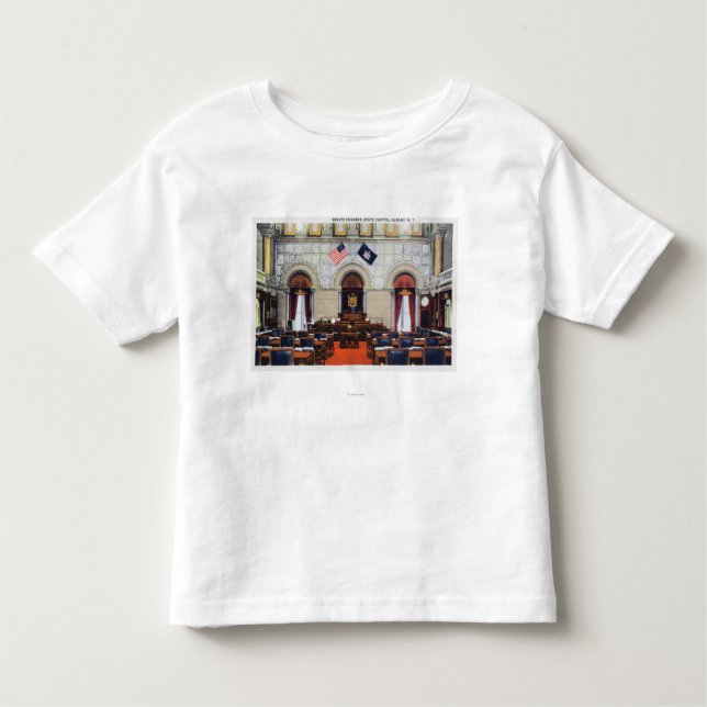 Camiseta Ideia interior da câmara de Senado do Capitólio do (Frente)