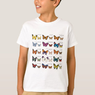 Camiseta Identificação da borboleta