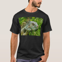 Iggy the Iguana