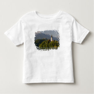 Camiseta Ilha da Assunção, Lago