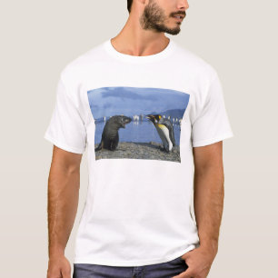 Camiseta Ilha da Geórgia do Sul, Baía de St. Andrews, Rei
