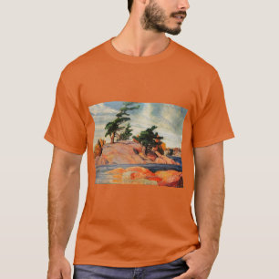 CAMISETA ILHA GEORGIAN BAY