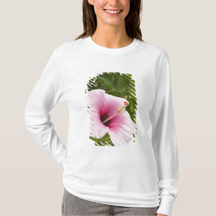 Camiseta Ilhas Cook, Atiu. Flor de hibisco.