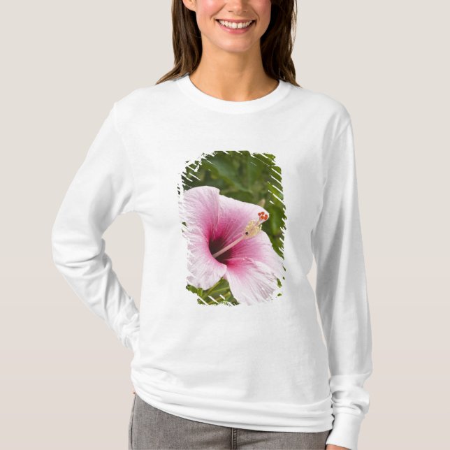 Camiseta Ilhas Cook, Atiu. Flor de hibisco. (Frente)
