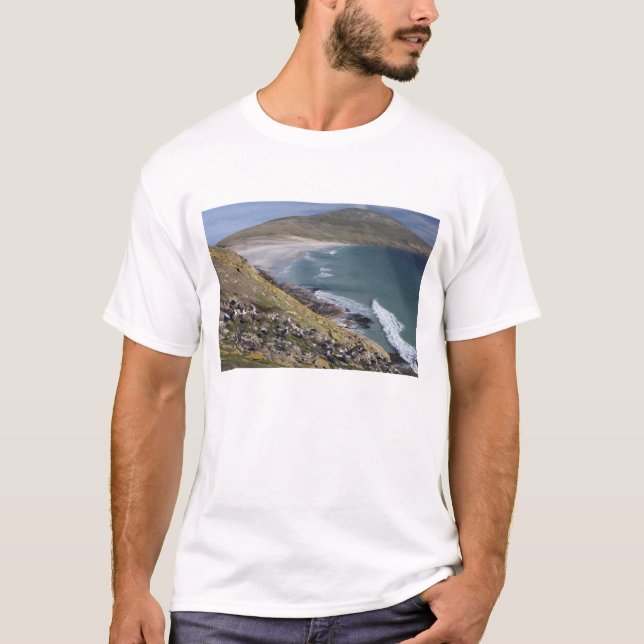 Camiseta Ilhas Falkland, West Falkland, Saunders (Frente)