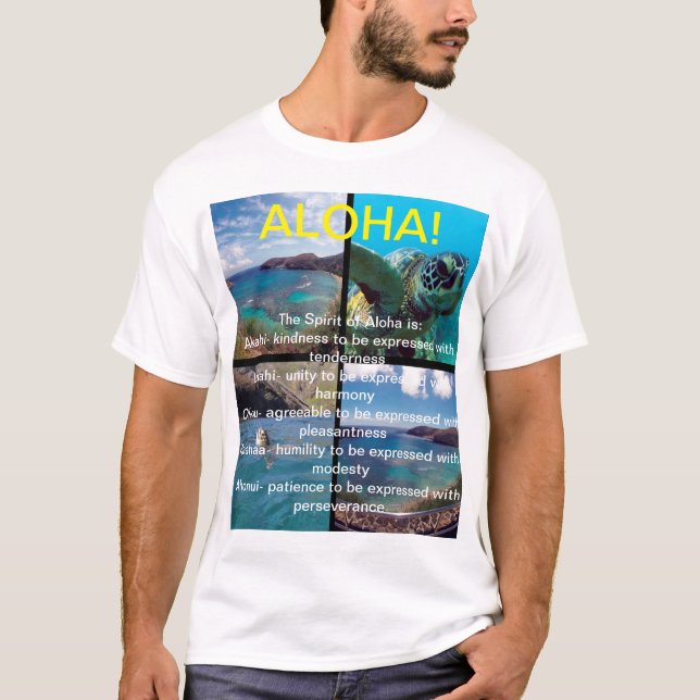 Camiseta Ilhas Hawaii Aloha (Frente)