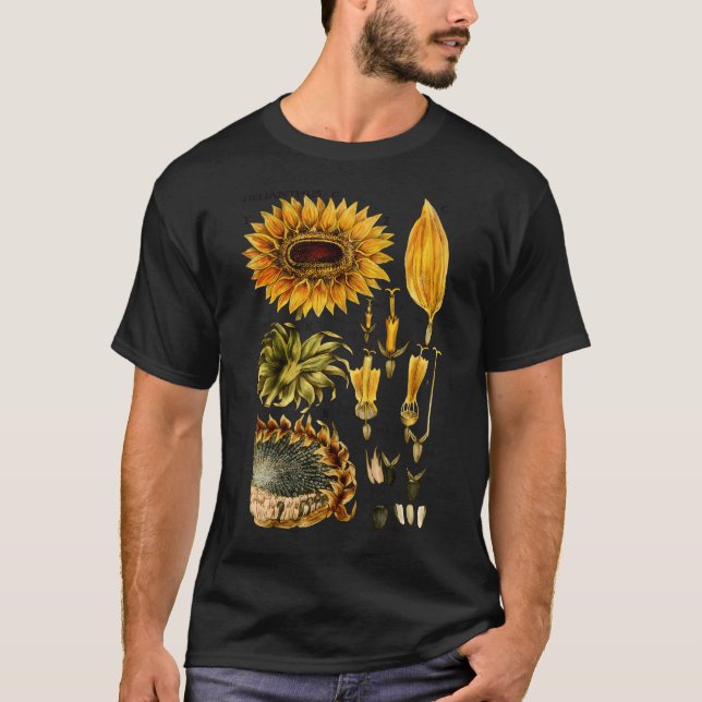 Camiseta Ilustração Botânica De Girassol Do Século 19 (Frente)