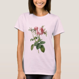 Camiseta Ilustração botânica rosa-rosa-vinda, Redoute