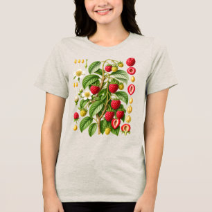 Camiseta Ilustração Botânica Vintage de Framboesa