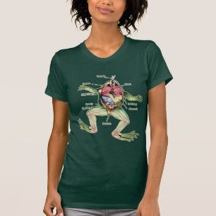 Camiseta Ilustração da Anatomia do Sapo