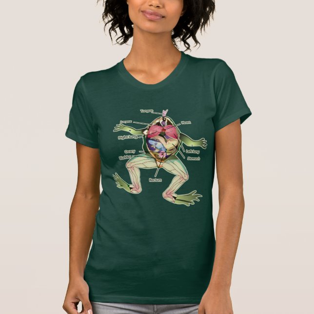 Camiseta Ilustração da Anatomia do Sapo (Frente)