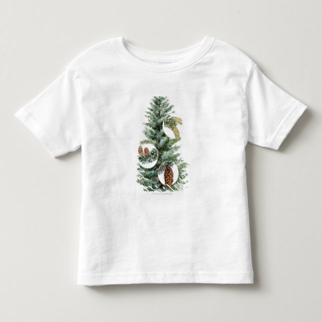 Camiseta Ilustração da árvore conífera com cones (Frente)