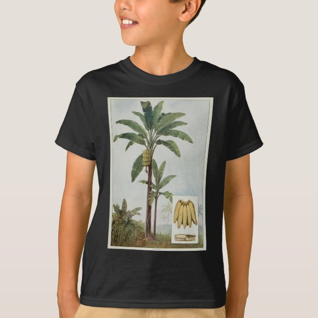 Camiseta Ilustração da árvore da banana (Frente)