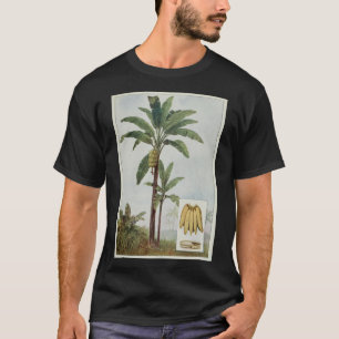 Camiseta Ilustração da árvore da banana