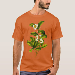 Camiseta Ilustração da Planta Botânica de Camellia Sinensis