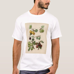 Camiseta Ilustração da safra