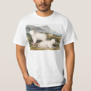 Camiseta Ilustração de Cabra de Montanha Rochosa (America
