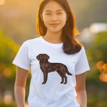 Ilustração de Cachorro Labrador Retriever Chocolat