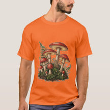 Ilustração de Cogumelo Fly Agaric Vintage