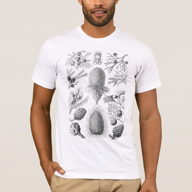 Camiseta Ilustração de Conifer Haeckel (Frente)