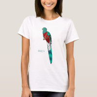 Ilustração de desenho animado de pássaro quetzal r