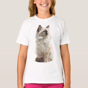 Camiseta Ilustração de Gato Ragdoll de Olhos Azuis Fofos pa