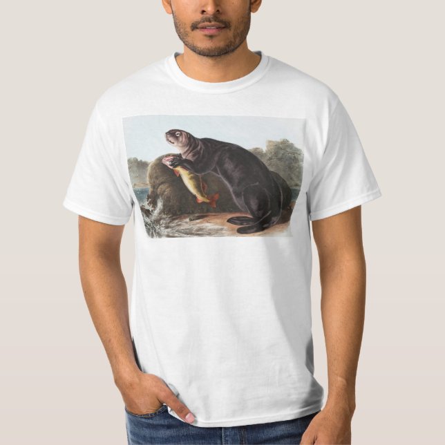 Camiseta Ilustração de Sea Otter (Enhydra marina) (Frente)