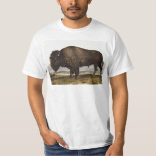 Camiseta Ilustração do American Bison (Bos Americanus)