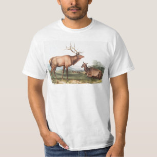 Camiseta Ilustração do Elk Americano (Cervus Canadensis)